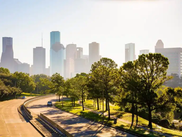 راهکارهای حرفه‌ای برای جلوگیری از مرگ درختان شهری