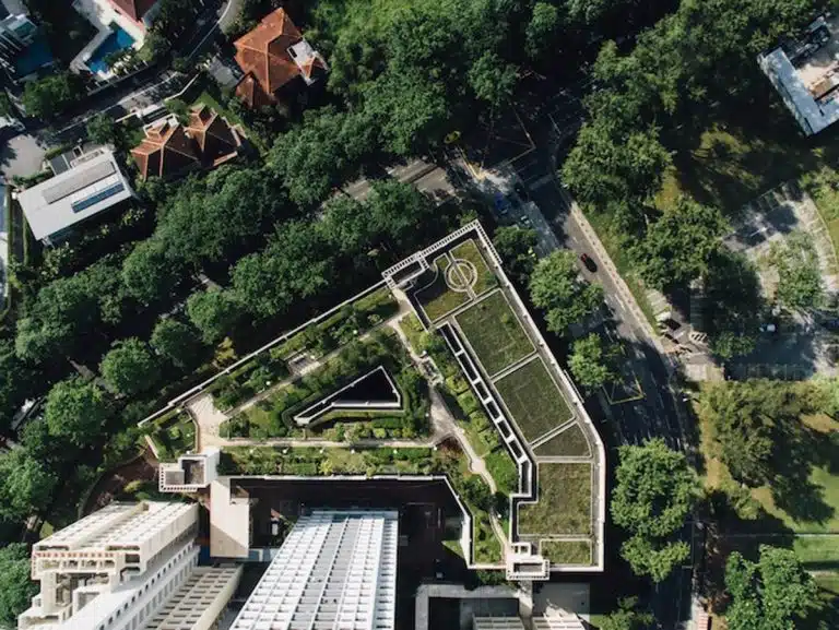 طراحی روف گاردن: چگونه یک فضای سبز روی سازه‌ها ایجاد کنیم؟