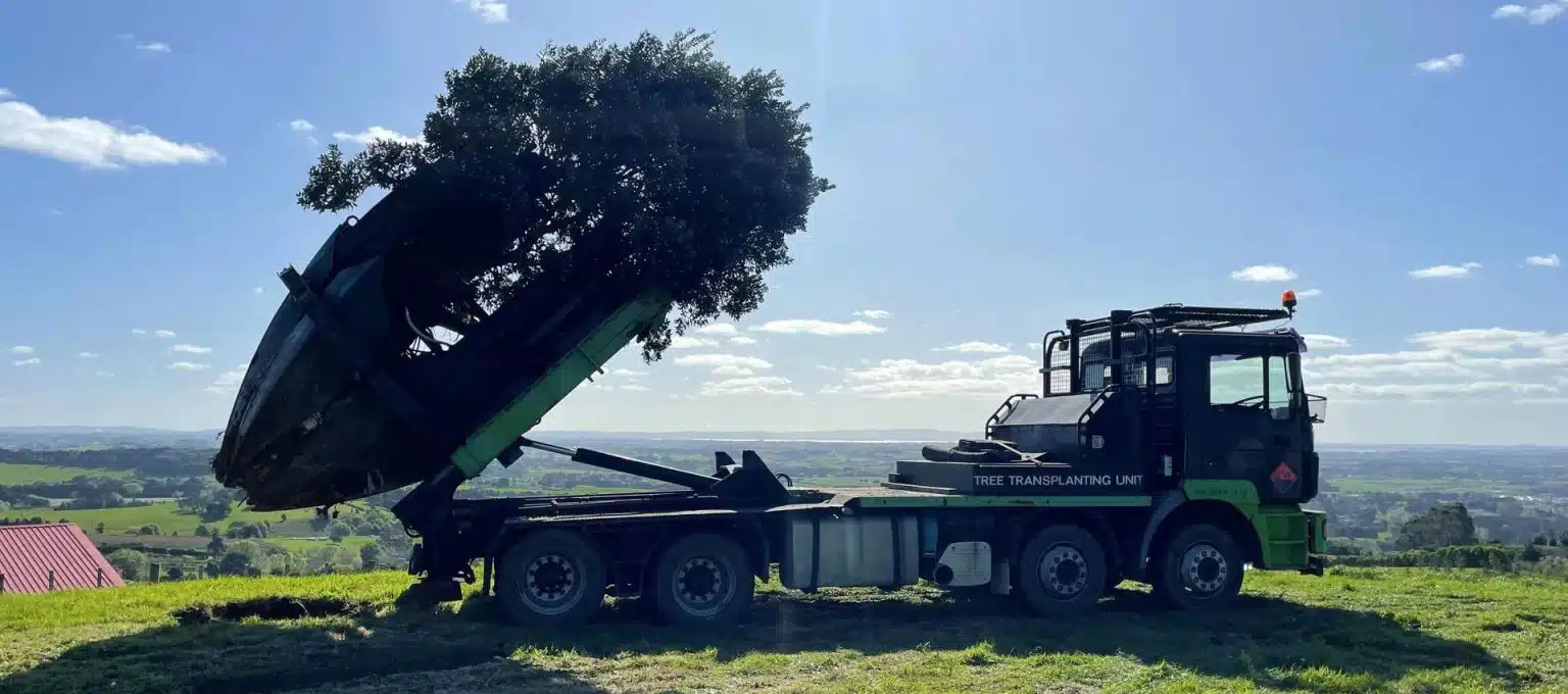 جابجایی درختان درخت یک