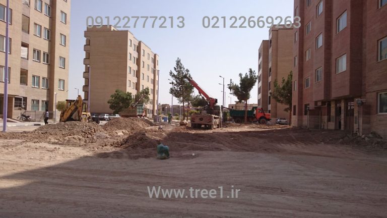 جابجایی درختان شهرداری اصفهان